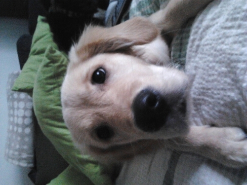 Snip_Salli's profile picture. 