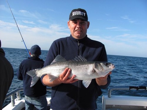 janneman41's profile picture. 