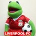 Woo (@woobear8) Twitter profile photo