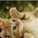 Dora Ojeda - @DoraOjeda1 - Twitter