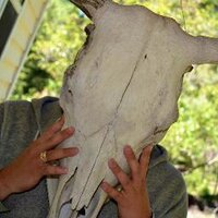Ben Stephens (@benrstephens) 's Twitter Profile
