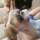 Scott Goodnight - @smgoodnight - Twitter