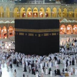 Abuoabdullah's profile picture. 