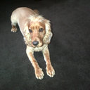 Dee Lotz - @denisemlotz - Twitter