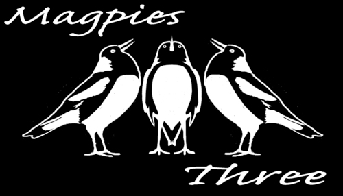 Magpies Three is a West Yorkshire based theatre company active since 2012.