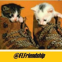 Friendship should be appreciated, so send a best friend or even an old friend a message ♥ Also accept crushes ♥ posted anonymously ♥ || [RPs/FL/OC's only]