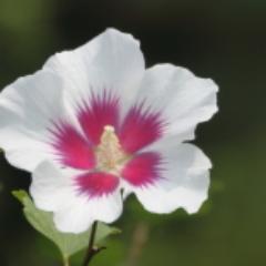 육아, 복지, 소득분배, 기부에 관심이 큽니다.