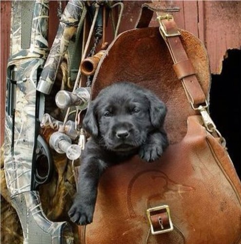 God. Family. Hunting.