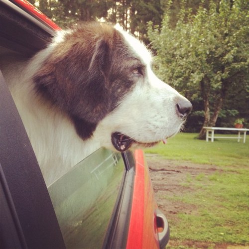 skrlund's profile picture. 