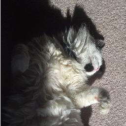 SavannahRuth24's profile picture. internet enthusiast.