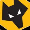 Season ticket holder at Wolves in the Billy Wright Upper W7.