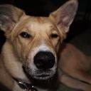 Lou Bega - @LouieBega - Twitter