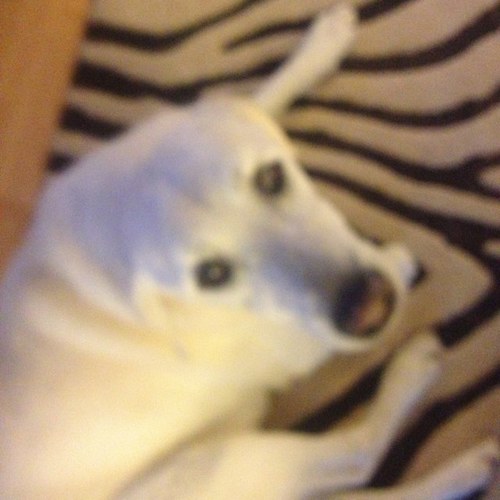 Awoday's profile picture. 