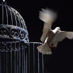 Abide by the Truth, even if your own shadow deserts you.  .. In solidarity with the oppressed