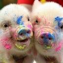 Alyssa Evers - @AlyssaEvers1 - Twitter