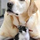 Anna Guerra - @AnnaGuerra8 - Twitter