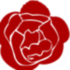 Support_ROSE Profile Picture