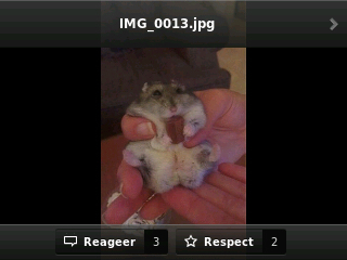 RioDeHamster's profile picture. Ik zit niet op school!?