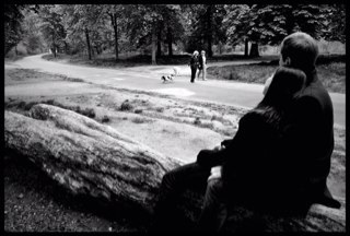 barlotticha's profile picture. 