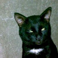 the last hero (@thelasthero996) Twitter profile photo