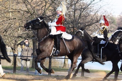 Tonytodd1977's profile picture. 