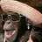 nikita_kings's profile image