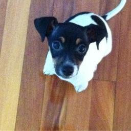 nacho_sonyero's profile picture. 