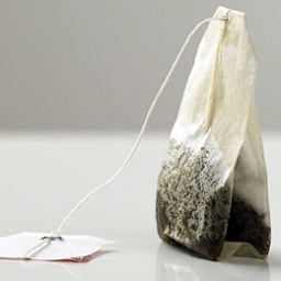 succinctcoffee's profile picture. Omni-coffee.