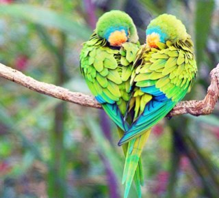 haneen_md's profile picture. 