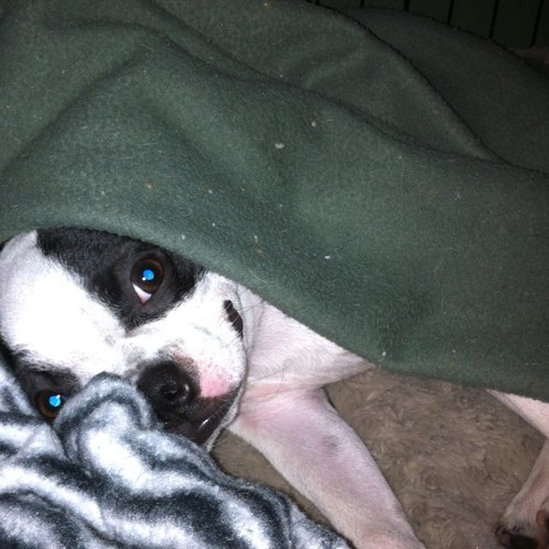 Straley79's profile picture. 