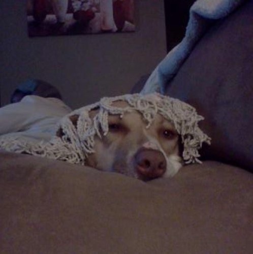 FaustieneSmith's profile picture. 