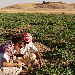 PhD, former Near Eastern archaeologist, current post-ac corporate project manager. All tweets my own