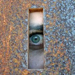 Manolo Hernandez Profile