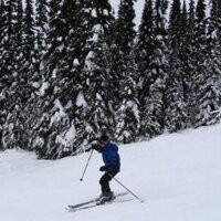 KaTe (@orientalclub) 's Twitter Profile