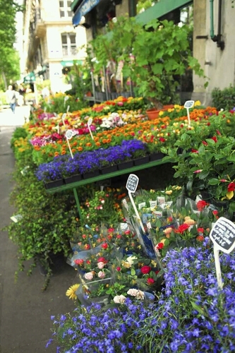 7jinho7's profile picture. 