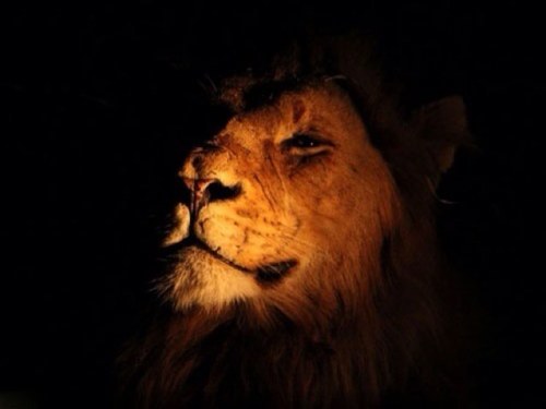 besr1450's profile picture. 