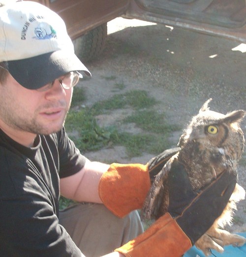I am a wildlife control and removal professional in southern Ontario Canada,and the owner of Duncan Wildlife Control
