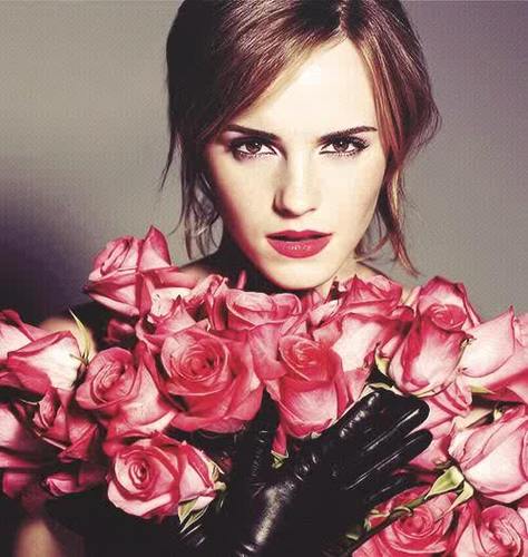 I like books and movies and songs. JK Rowling is my Queen. Stephen Chbosky is my King. Logan Lerman is my hero. Emma Watson is my idol.