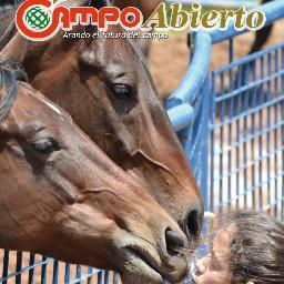 Revista “Campo Abierto”, da a conocer experiencias positivas que realizan los productores agropecuarios, en el área animal y vegetal.