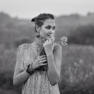 apostilbo11's profile picture. 