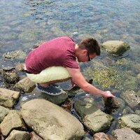Dan Pershick (@danpershick) 's Twitter Profile