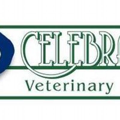Celebration Vet Hosp (@celebrationvet) | Twitter