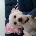 Lisa Stuart - @LisaStuart10 - Twitter