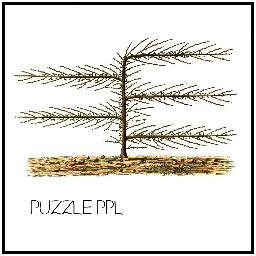 PuzzlePPL's profile picture. music.