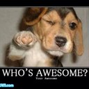 JordanSchuster - @JordanSchuster4 - Twitter