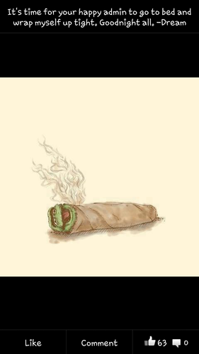 mizzsaramarie's profile picture. I love music (not country) and weed, hate preachers and politics.