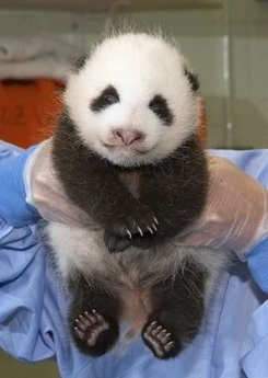 Cash2go's profile picture. 