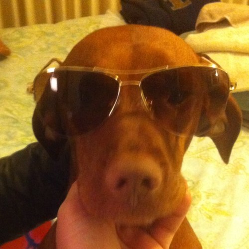 VIPermechlin's profile picture. 