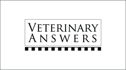 vetanswers's profile picture. Veterinary Telemedicine Consultations