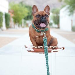 Kiss My Mutt® designs and manufactures eco-friendly dog beds, quality collars, leashes, harnesses, dog bandanas, pet and human apparel, and more!